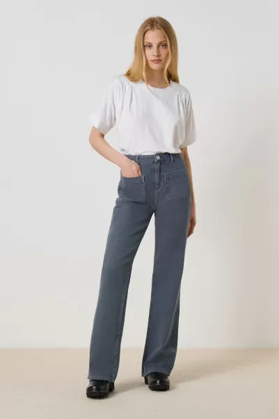 Achat Pantalons & Jeans Femme Leon & Harper Grey Pantalon Perfect P23